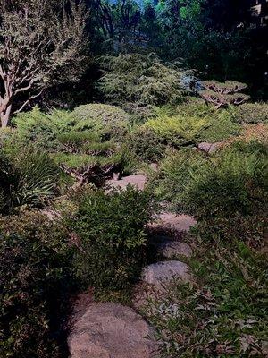 A view of the James Irvine Japanese Seiryu-en Garden at night.