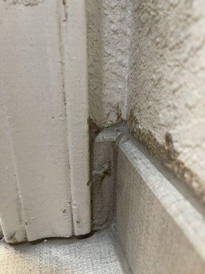 Bathroom door mounding edge where floor & baseboard meet. Henle's part done, I'd be doing the wall painting.