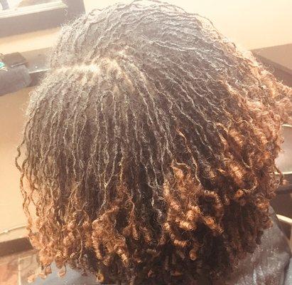 Lovely Sisterlocks with colored ends.