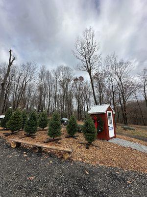 Hidden Pond Tree Farm