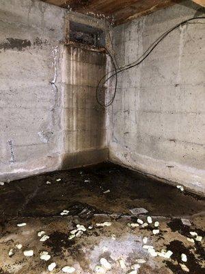 Water entering crawlspace through foundation vent of Kent home