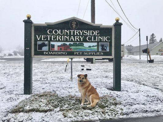 Countryside Veterinary Clinic