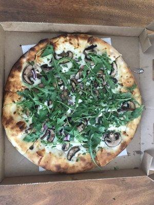 Wild Mushroom pizza  Bianco