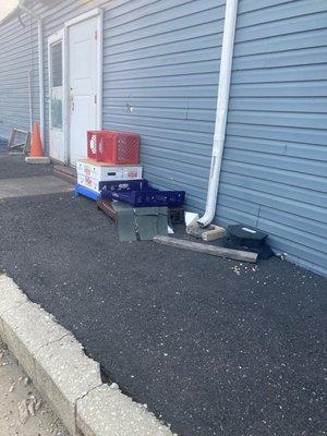 Bread and rolls in the white box about six feet from the rodent trap before this place opens?