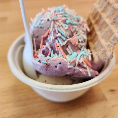 Free birthday treat! One scoop you can choose two. Chose Gillispie's bourbon pecan (must be 21), and blackberry earl gray (my fav!).