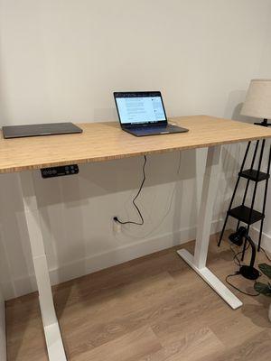 FlexiSpot Pro Plus Standing Desk E7