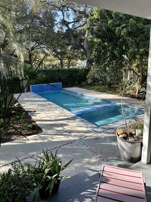 The pool with landscaping installed.