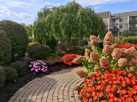 Beautiful landscaping around office overlooking the pool. Looks more like an October in Florida than NY!