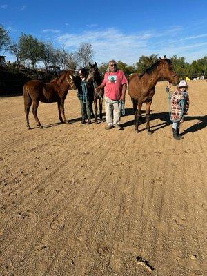 Group lessons in handling horses