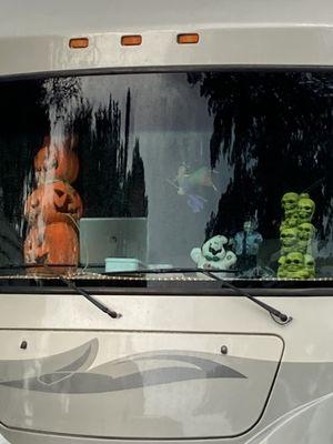 Pumpkins in an RV