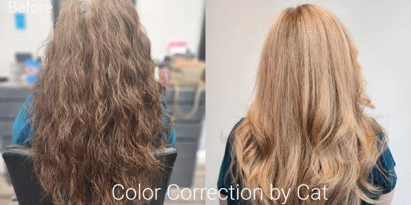 Color Correction from Box Dye by Cat