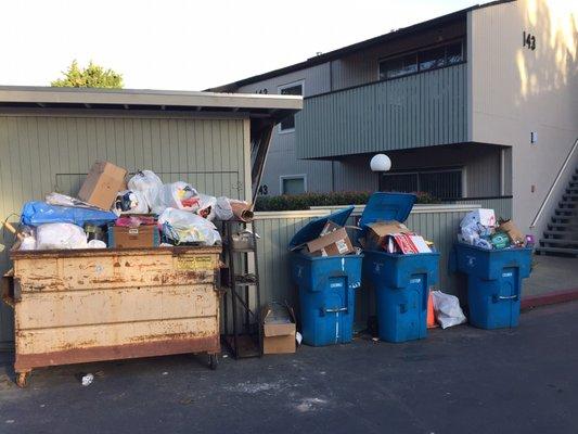 Garbage shed has been damaged for over a month. Dangerous and disgusting