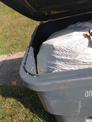 Close up pic of trash can on the curve after a week with maggots crawling out of it