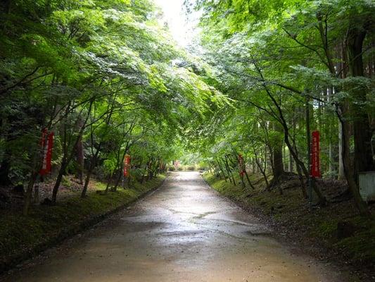 Daigoji Monastery, Kyoto, Japan