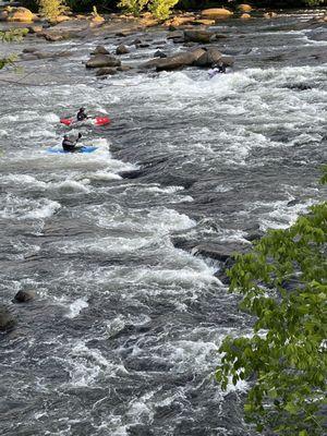 Kayak