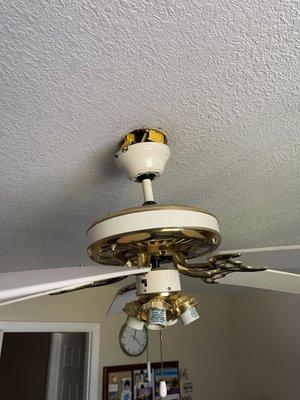 Ceiling Fans