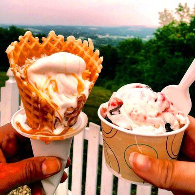 My waffle cone and my cousin's ice cream cup!  I tried to convince him to have a cone, but he declined :(