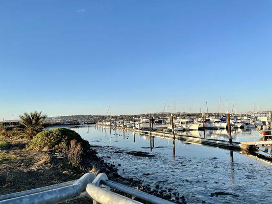 Marina Waterfront Park