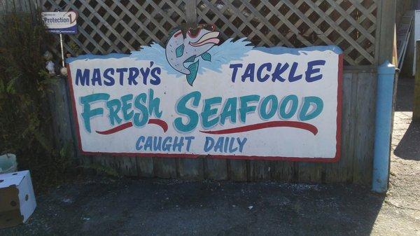 Fresh seafood!