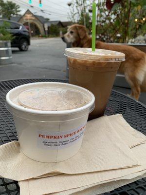 Outdoor seating. Pumpkin Spice Oatmeal and Iced Almond Milk Mocha. Golden Retriever added for scale.