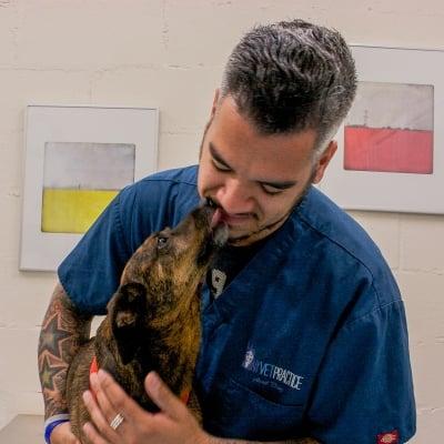 Ariel - Practice Manager of New York Veterinary Practice, partners with Biscuits & Bath