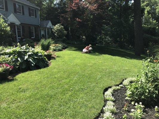 Love to play with Bailey, our dog, on the thick cushiony lawn!