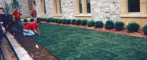 Lawn Being Laid, Dom Chiola Landscaping Corp. in Fairview, NJ