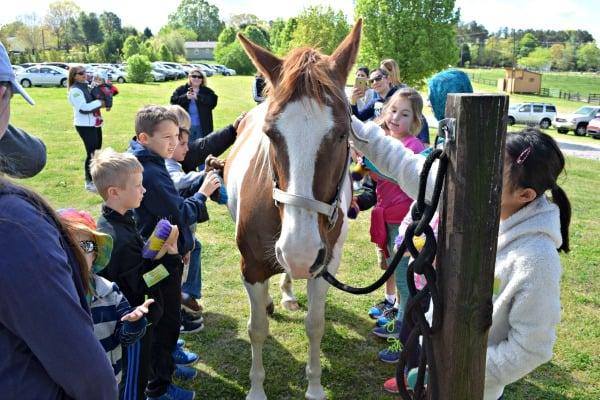 Come to a Field Trip and learn about caring for animals