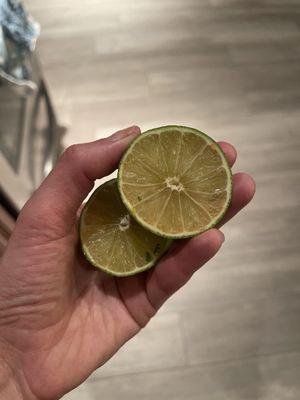 Lime is brown on the inside.