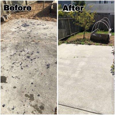 ABC Power Washing recently removed stubborn blackberry stains from a client's property with outstanding results!