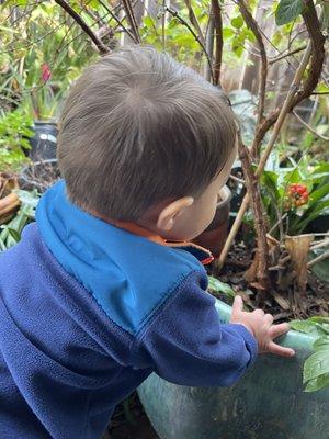 Haircut on an 18 month old