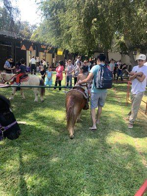 One of our favorite annual events: ACGS Pumpkin Patch