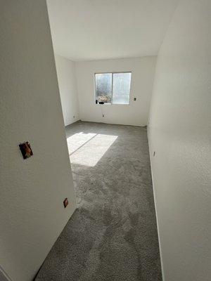 Guest bedroom carpet