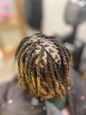 TwoStrand Loc Twist