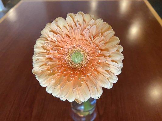 Fresh flower  at every table