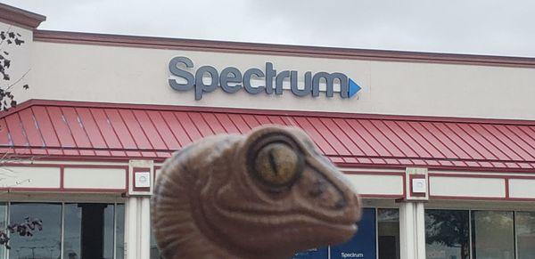 Bob the Raptor says "Cable mammals live here!"