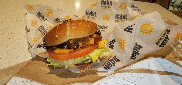 THE Original Char Cheeseburger  Charburger with Cheese