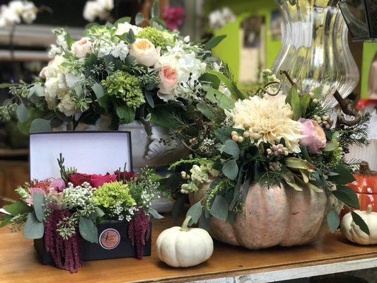 Fall arrangements