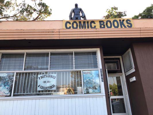 P Dot's Comics & Collectibles