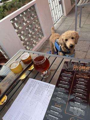 Dog friendly outdoor patio seating!