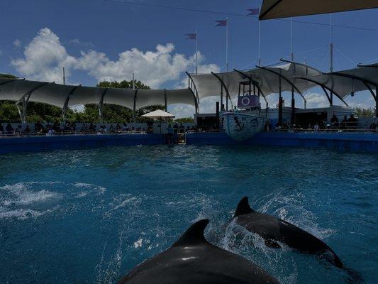 Miami Seaquarium