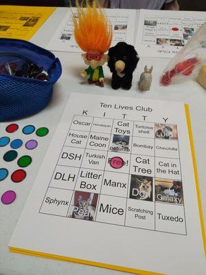 Ten Lives Club's Kitty Games charity event! :-)