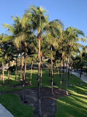 Marriott Stanton South Beach