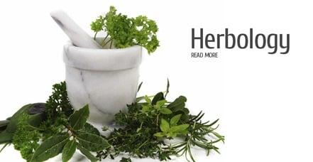 Herbology has been studied for thousands of years. Custom formulas to help treat whatever ails you.