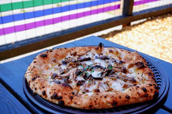 The Fun-Gal: garlic confit, foraged & found mixed mushrooms, Taleggio, mozzarella, chili flakes ($22).