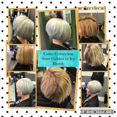 Color Avenue Salon