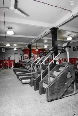 Real Time Fitness Main Floor