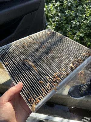 Cabin Filter, not changed or checked on my CPO, Certified Pre-Owned!