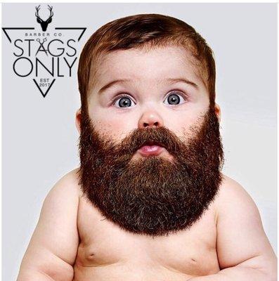 We do baby beards too! Lol