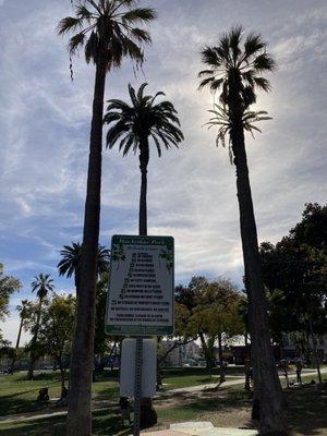 MacArthur Park